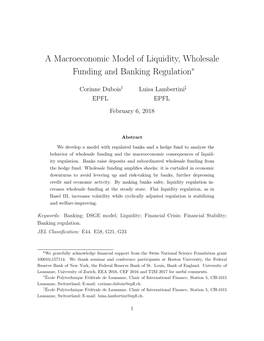 A Macroeconomic Model of Liquidity, Wholesale Funding and Banking Regulation*