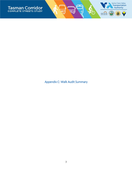 Appendix C: Walk Audit Summary