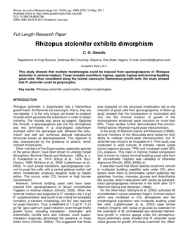 Rhizopus Stolonifer Exhibits Dimorphism