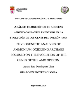 Phylogenetic Analysis of Ammonium-Oxidizing Archaes Focused on the Evolution of the Genes of the Amo Operon