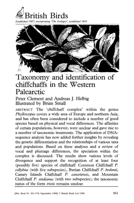 British Birds Taxonomy and Identification of Chiffchaffs in the Western Palearctic