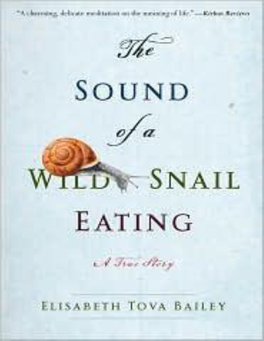 THE SOUND of a WILD SNAIL EATING the SOUND of a WILD SNAIL EATING