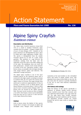 Alpine Spiny Crayfish Euastacus Crassus
