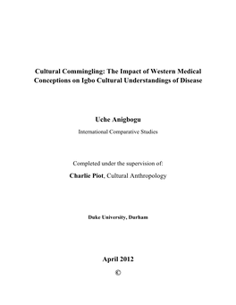 Cultural Commingling: the Impact of Western Medical Conceptions on Igbo Cultural Understandings of Disease