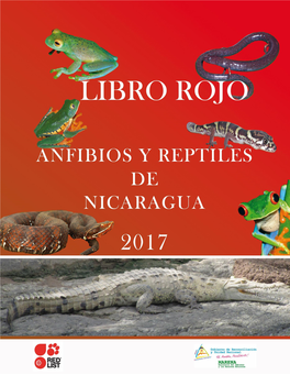 Anfibios Y Reptiles De Nicaragua