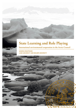 State Learning and Role Playing