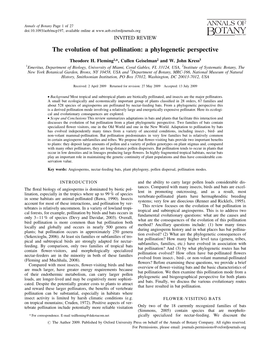 The Evolution of Bat Pollination: a Phylogenetic Perspective