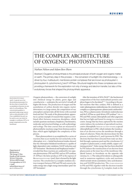 The Complex Architecture of Oxygenic Photosynthesis