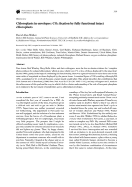 Chloroplasts in Envelopes: CO2 Fixation by Fully Functional Intact