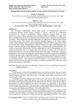 Morphological and Anatomical Studies on Some Species of Polygonaceae in Egypt