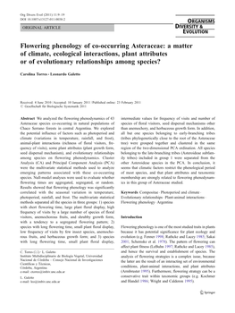 Flowering Phenology of Co-Occurring Asteraceae: a Matter of Climate, Ecological Interactions, Plant Attributes Or of Evolutionary Relationships Among Species?