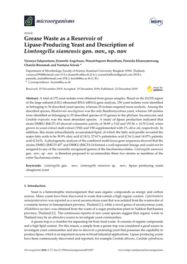 Grease Waste As a Reservoir of Lipase-Producing Yeast and Description of Limtongella Siamensis Gen