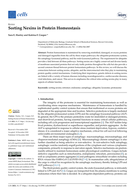 Sorting Nexins in Protein Homeostasis