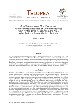 Grevillea Hortiorum Olde (Proteaceae: Grevilleoideae: Hakeinae), an Uncommon Species from Winter-Damp Woodlands in the Avon Wheatbelt, South-West Western Australia
