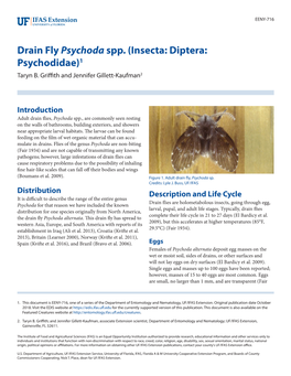 Drain Fly Psychoda Spp. (Insecta: Diptera: Psychodidae)1 Taryn B