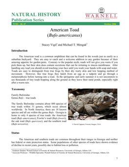 American Toad.Pdf