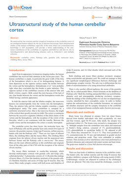 Ultrastructural Study of the Human Cerebellar Cortex