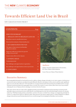 Towards Efficient Land Use in Brazil