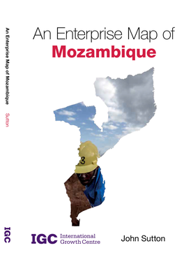 An Enterprise Map of Mozambique