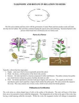 Taxonomy and Botany in Relation to Seeds