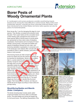 Borer Pests of Woody Ornamental Plants