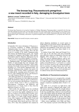 The Bronze Bug Thaumastocoris Peregrinus: a New Insect Recorded in Italy, Damaging to Eucalyptus Trees