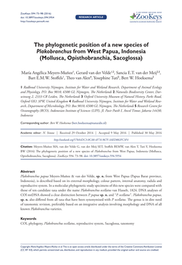 ﻿The Phylogenetic Position of a New Species of Plakobranchus From