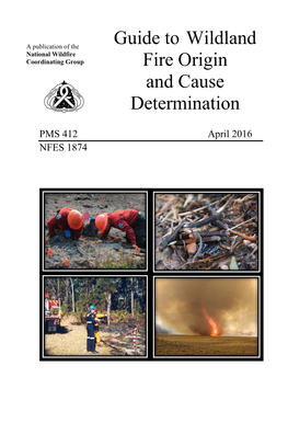 Guide to Wildland Fire Origin and Cause Determination, PMS