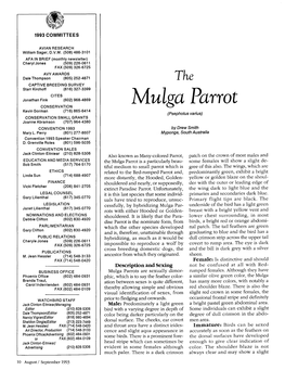 Mulga Parrot CONSERVATION Kevin Gorman (716) 865-6414 (Psephotus Varius) CONSERVATION SMALL GRANTS Joanne Abramson (707) 964-4380 CONVENTION 1993 by Drew Smith Mary L