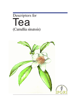 Descriptors for Tea (&lt;I&gt;Camellia Sinensis&lt;/I&gt;)