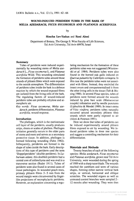 Wound-Induced Periderm Tubes in the Bark of Melia Azedarach, Ficus