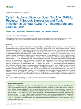 Cyfip1 Haploinsufficiency Does Not Alter GABAA Receptor Δ-Subunit