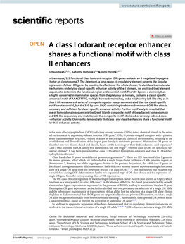 A Class I Odorant Receptor Enhancer Shares a Functional Motif with Class II Enhancers Tetsuo Iwata1,2,4, Satoshi Tomeoka3,4 & Junji Hirota1,3*