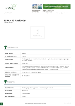 TSPAN32 Antibody Cat