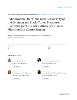 Hybridization Effects and Genetic Diversity of the Common and Black-Tufted Marmoset (Callithrix Jacchus and Callithrix Penicillata) Mitochondrial Control Region