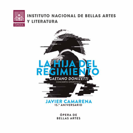 Instituto Nacional De Bellas Artes Y Literatura