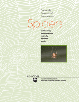 Commonly Encountered Pennsylvania Spiders and Two Rarely Encountered but Medically Important Species