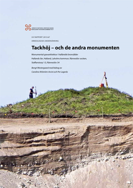 UV Rapport 2013:67. Arkeologisk