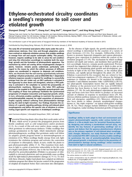 Ethylene-Orchestrated Circuitry Coordinates a Seedlingts Response