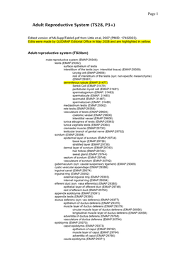 Adult Reproductive System (TS28, P3+)