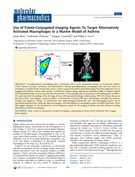 Use of Folate-Conjugated Imaging Agents to Target Alternatively