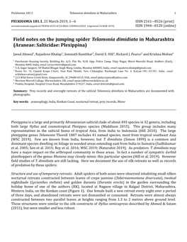 Field Notes on the Jumping Spider Telamonia Dimidiata in Maharashtra (Araneae: Salticidae: Plexippina)