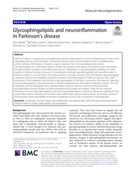 Glycosphingolipids and Neuroinflammation in Parkinson's