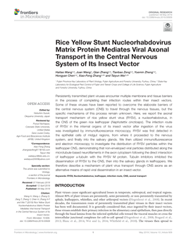 Rice Yellow Stunt Nucleorhabdovirus Matrix Protein Mediates Viral Axonal Transport in the Central Nervous System of Its Insect Vector