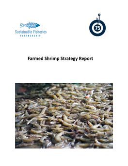 Farmed Shrimp Strategy Report