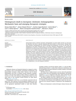 Cholangiocyte Death in Ductopenic Cholestatic Cholangiopathies Mechanistic Basis and Emerging Therapeutic Strategies