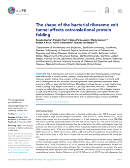 The Shape of the Bacterial Ribosome Exit Tunnel Affects Cotranslational