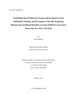 Social Rejection of Minority Groups and Its Impacts on the Individual's