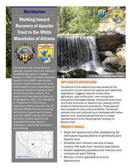 Working Toward Recovery of Apache Trout in the White Mountains of Arizona