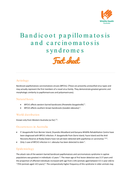 Bandicoot Papillomatosis and Carcinomatosis Syndromes Fact Sheet